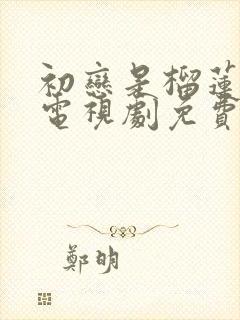 初恋是榴莲先生电视剧免费观看