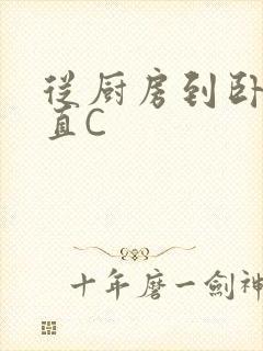 从厨房到卧室一直C