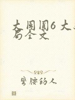 大团圆6 大结局全文