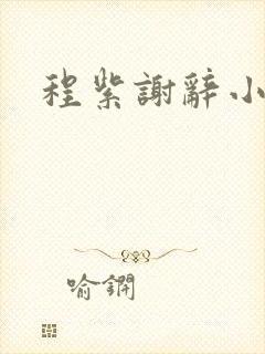 程紫谢辞小说