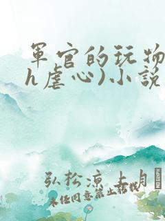 军官的玩物(高h虐心)小说