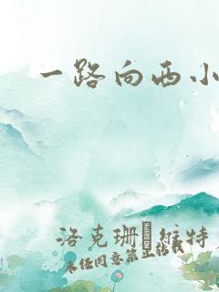一路向西小说