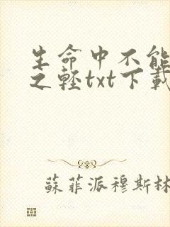生命中不能承受之轻txt下载