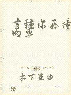 有种你再撞一下肉车