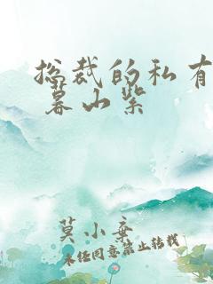 总裁的私有宝贝 暮山紫