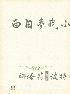 白日梦我小说