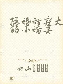 隐婚甜宠大财阀的小娇妻