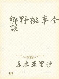 乡野桃事全文小说