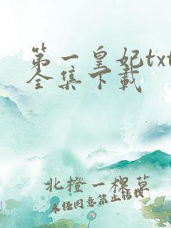 第一皇妃txt全集下载