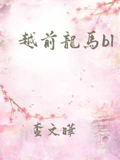 越前龙马bl