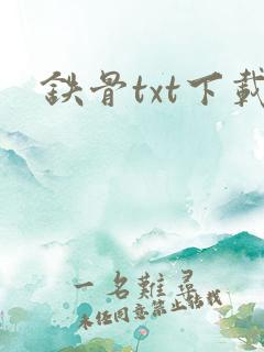 铁骨txt下载
