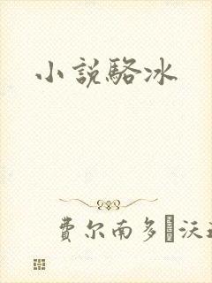 小说骆冰