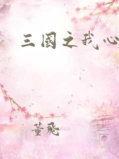 三国之我心狂想