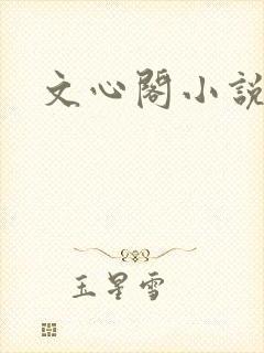 文心阁小说