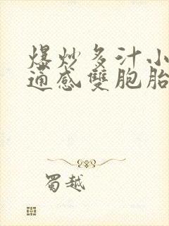 爆炒多汁小美人通感双胞胎