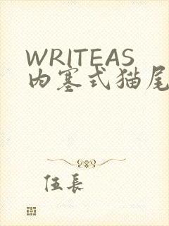 WRITEAS内塞式猫尾