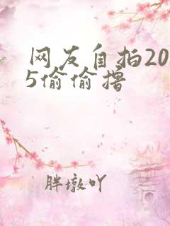 网友自拍2015偷偷撸