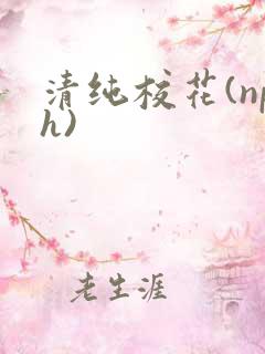 清纯校花(nph)