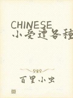 CHINESE小受遭各种打桩