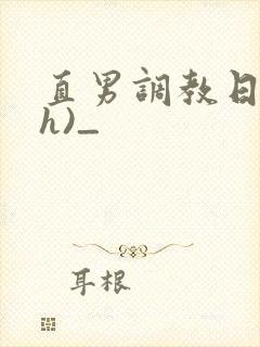 直男调教日记(h)_