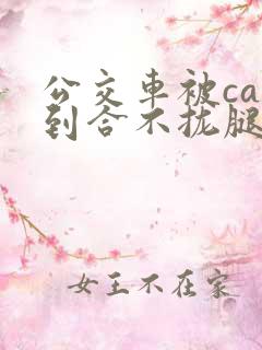 公交车被cao到合不拢腿视频