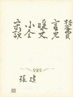 宋小暖言楚行小说全文免费阅读