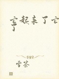 它起来了它想你了