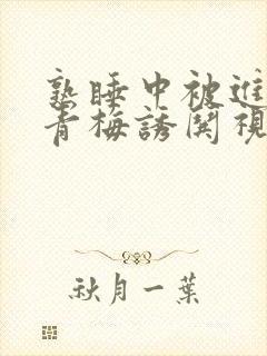 熟睡中被进了H青梅诱哄视频