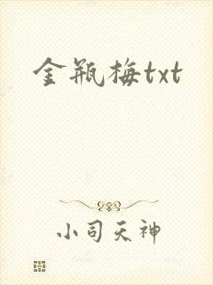 金瓶梅txt