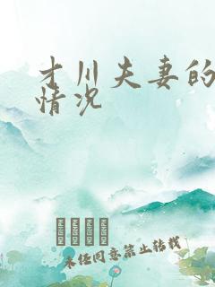 才川夫妻的恋爱情况