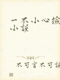 一不小心捡到爱小说