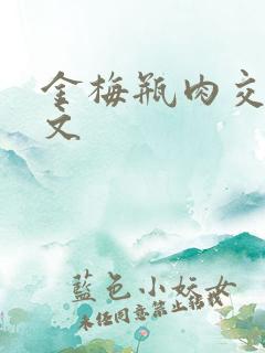 金梅瓶肉交白话文