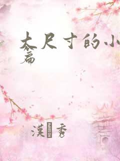 大尺寸的小说短篇