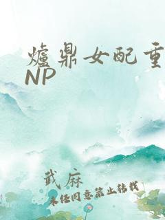 炉鼎女配重生之NP