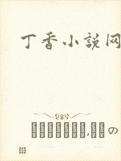 丁香小说网