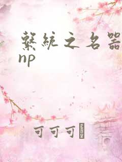 系统之名器攻略np