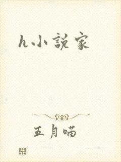 h小说家