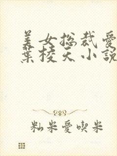 美女总裁爱上我叶棱天小说