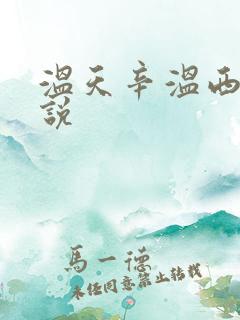 温天辛温西离小说