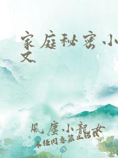 家庭秘密小说全文