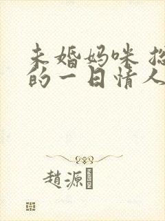 未婚妈咪 总裁的一日情人