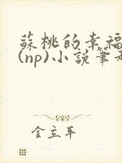 苏桃的幸福生活(np)小说笔趣阁沐沐