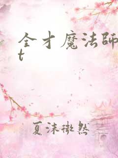 全才魔法师txt