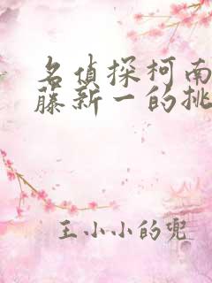 名侦探柯南给工藤新一的挑战书