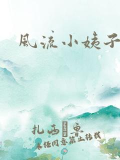 风流小姨子