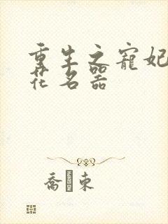 重生之宠妃白莲花名器