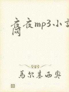 夜夜mp3小说网