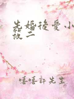 先婚后爱小说梦筱二