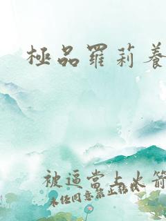 极品罗莉养成记