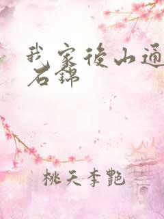 我家后山通仙界石锦